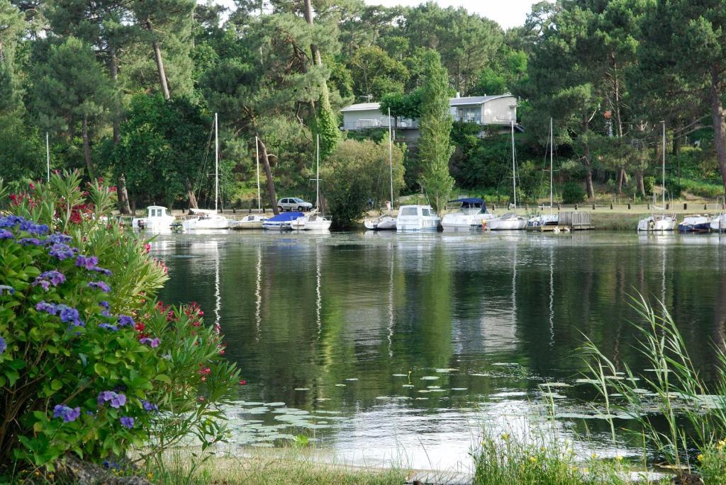 Residence Pierre & Vacances Le Domaine De Gascogne Biscarrosse Exteriör bild